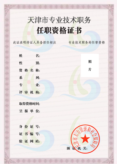 天津市专业技术职务（造价工程师）任职资格电子证书样式